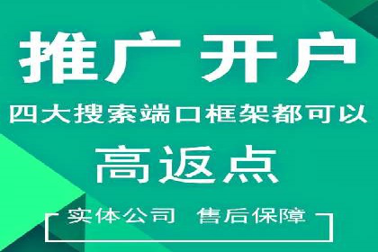 成功案例：SEM竞价托管的策略与效果